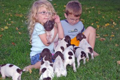 Madelynn & Noah with the pups